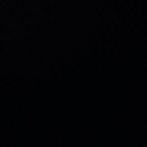 Meet your Posher, Ree